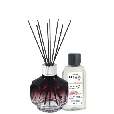 Afbeelding van Maison Berger Parfumverspreider Molecule Prune