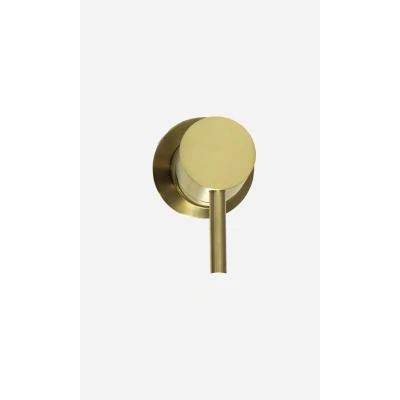 Afbeelding van OUTLET Rubio Inox inbouw mengkraan volledig RVS in PVD Geborsteld goud 1208920736 Laatste Product