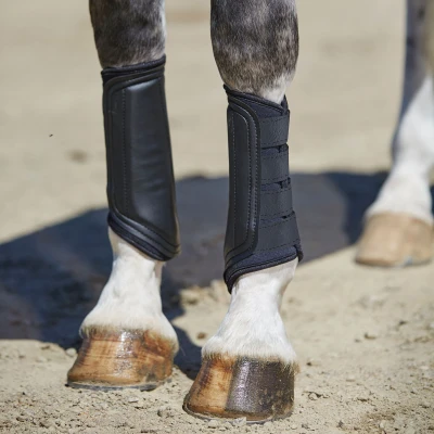 Image de Weatherbeeta Guêtres Prime Noir Poney