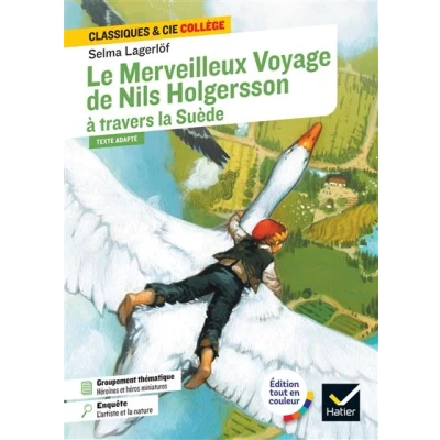 Image de Le Merveilleux Voyage de Nils Holgersson à travers la Suède