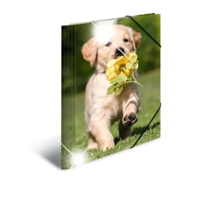 Afbeelding van HERMA 19327 Verzamelmap DIN A4 dieren honden, stabiele kunststof, opbergmap met hoogglans effect, bedrukte binnenkleppen en elastiek, documentenmap voor kinderen, jongens meisjes