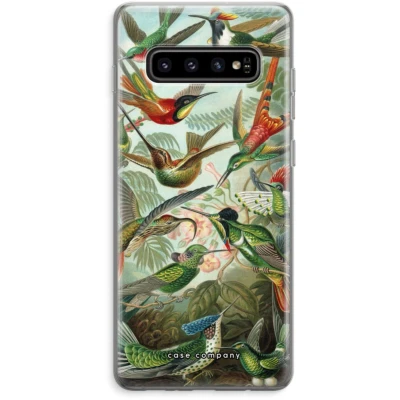 Afbeelding van Case Company® hoesje geschikt voor Samsung Galaxy S10 Plus Haeckel Trochilidae Soft Cover Telefoonhoesje Bescherming aan alle Kanten en Schermrand