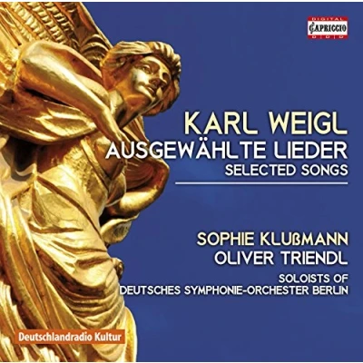 Afbeelding van Sophie Klubmann &amp; Sebastian Noack Oliver Triendl Sol Ausgewählte Lieder (CD)