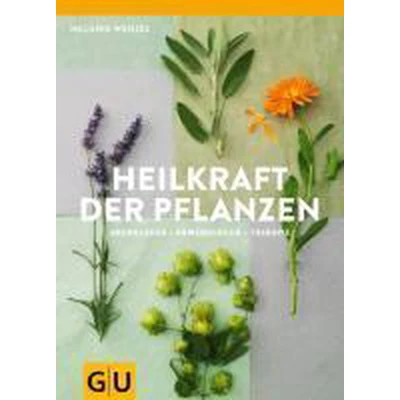 Afbeelding van Meine besten Heilpflanzenrezepte für eine gesunde Familie