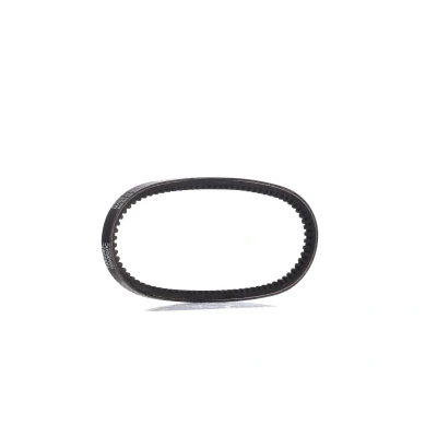Afbeelding van Dayco V riem 10A0550C