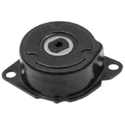 Afbeelding van JAPANPARTS TL L00 Vibratiedemper, Poly V riem