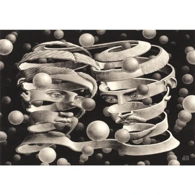 Image de NOVO ART SERIES ESCHER BOND OF UNION (CB 1000 STUKJES)