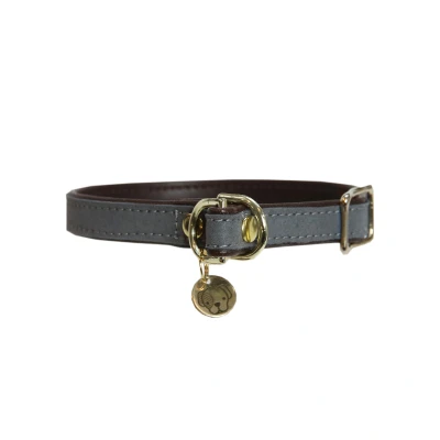 Image de Kentucky Collier Loop Gris 35cm