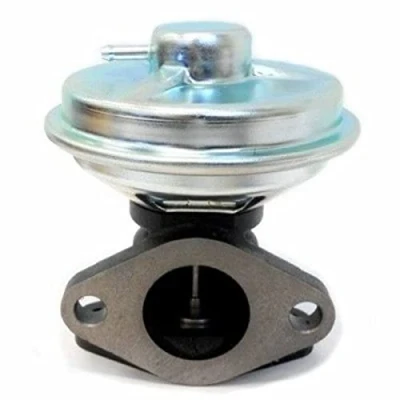 Afbeelding van HOFFER 961068 Laadluchtslang LANCIA: Lybra Saloon