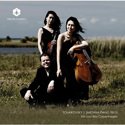 Afbeelding van Trio Con Brio Copenhagen Tchaikovsky / Smetana Piano Trios (CD)