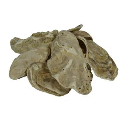Afbeelding van Air Aqua Japanse Oesterschelpen 5 KG