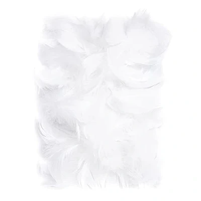 Afbeelding van Netuno Decoratieve veren 10 g donzen vogelveren om te knutselen Pasen decoratie Kerstmis wit 150 stuks