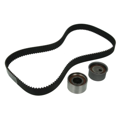 Afbeelding van Distributieriemset INA 530 0307 10