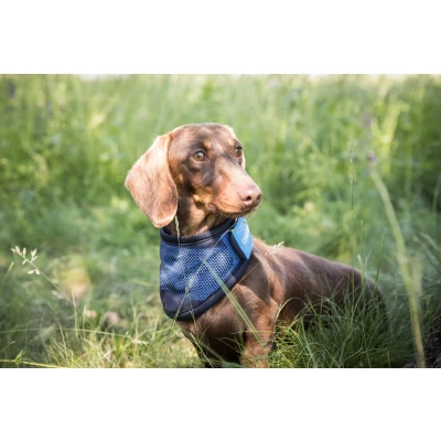 Image de Back on Track Cooling Bandana Bleu L