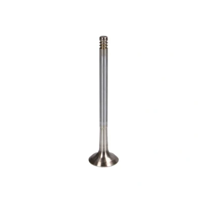 Afbeelding van Uitlaatklep FRECCIA R6507/RCR