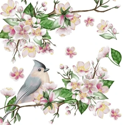 Afbeelding van Duni Servet 33x33cm 20 Stuks Birds Lyrics Wit