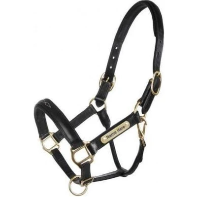 Afbeelding van HB Showtime Halster Horse Name Leer Zwart Full