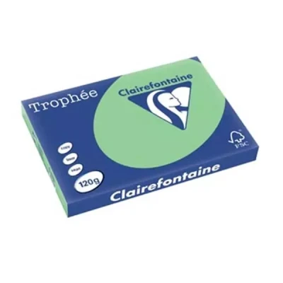 Afbeelding van Clairefontaine Trophée Pastel, Gekleurd Papier, A3, 120 G, 250 Vel, Natuurgroen Papier