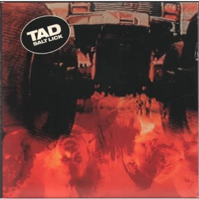 Afbeelding van Tad Salt Lick (CD) (Deluxe Edition)