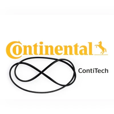 Afbeelding van Contitech Poly V riem 2PJ800