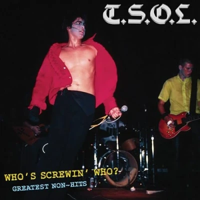 Afbeelding van T.S.O.L. Who&#039;s Screwing Who Greatest Non Hits (LP)