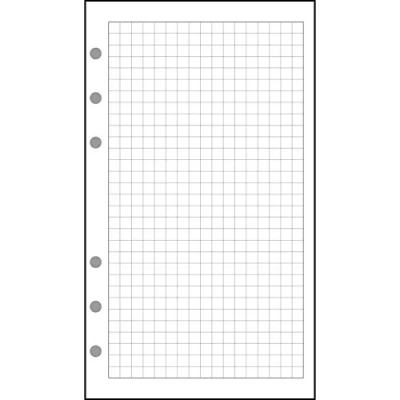 Afbeelding van Exacompta 28111E Geperforeerde navulverpakking 5x5 geruite bladen Accessoires voor Exatime Organizer 21 14,2 cm x 32 vellen Wit papier
