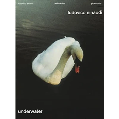 Afbeelding van Underwater