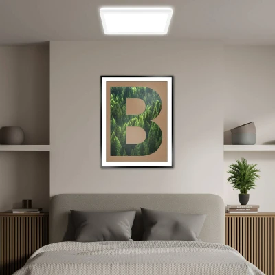 Afbeelding van Briloner Tava A LED Plafondlamp 7547016 EEK 50.000h licht Indirect Vlak Neutraal Wit 29 x 3 cm