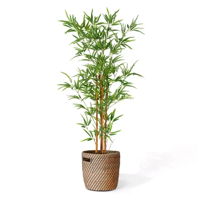 Afbeelding van Bambou artificiel hauteur 150 cm