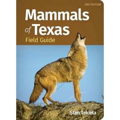 Afbeelding van Mammal Identification Guides Mammals of Texas Field Guide