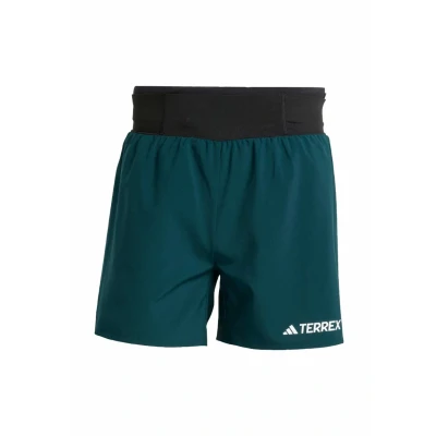 Afbeelding van Adidas Terrex Korte broeken, Heren, Maat: Sx5&quot;, Aurora ivy