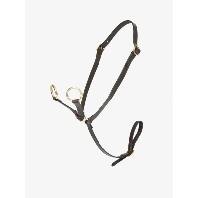 Image de LeMieux Martingale Toy Pony Marron