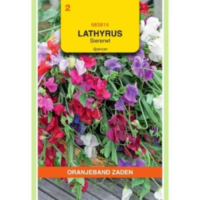 Afbeelding van Lathyrus reuk of siererwt spencer gemengd