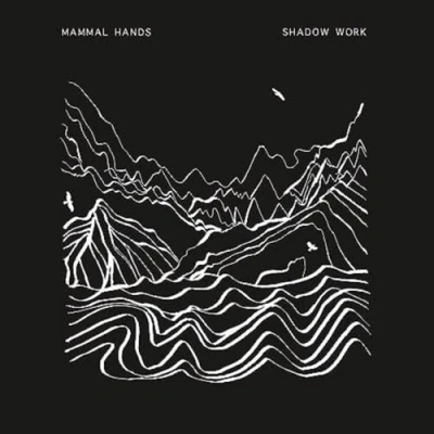 Afbeelding van Hammal Hands Shadow Work (CD)