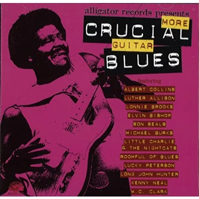 Afbeelding van The Alligator Blues Collection