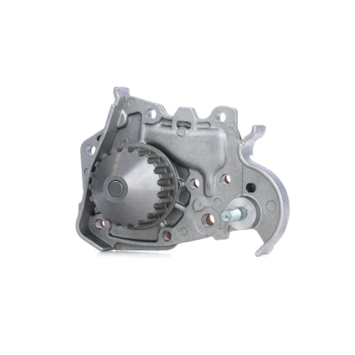 Afbeelding van DOLZ R135 Waterpomp 20 Met riemschijf RENAULT: Kangoo I Express, II CLIO 2, DACIA: Logan MCV
