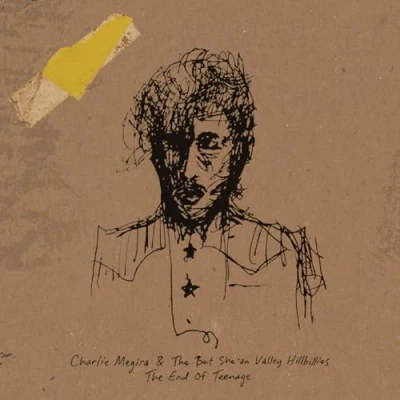 Afbeelding van Charlie Megira End of Teenage (2 LPs)