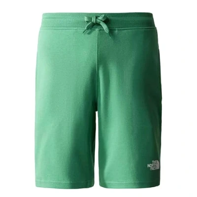 Afbeelding van THE NORTH FACE Graphic Light Shorts voor heren