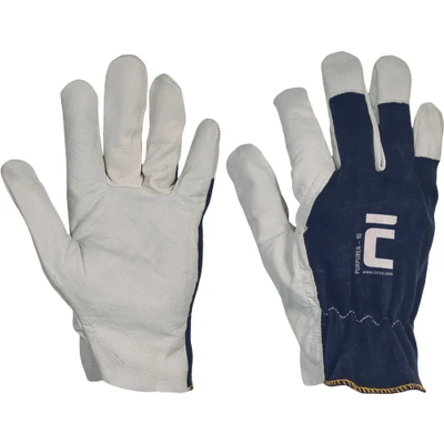 Afbeelding van Cerva PURPUREA handschoenen 01010101 12 stuks Blauw 11