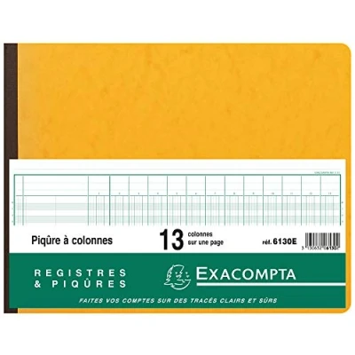 Image de Piqûre Exacompta horizontal 13 colonnes sur 1 page 31 lignes 80p 25x32cm