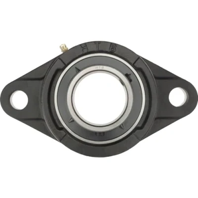 Afbeelding van HTB UCFL 205 Flenslager Grijs/grauw gietijzer Boordiameter 25 mm Gatafstand 99