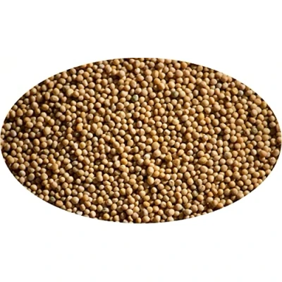 Image de Eder Gewürze Graines de moutarde blanche entières 1kg