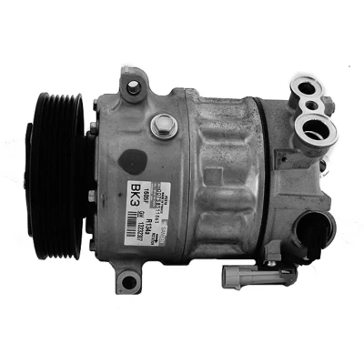 Afbeelding van Airstal Airco compressor 10 1103