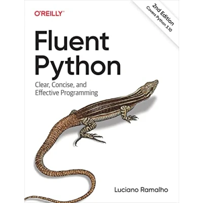 Afbeelding van Fluent Python