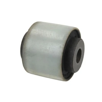 Afbeelding van REINHOCH RH15 2003 Stang/Steun wielophanging Achteras links Met lager