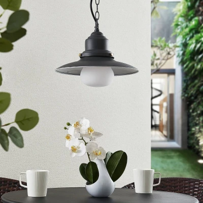 Afbeelding van Lindby Hanglampen buiten 1licht staal, glas E27 donkergrijs