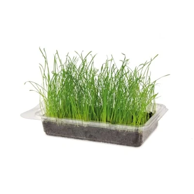 Afbeelding van Karlie Knaagdier Gras Vital Knaagdierensnack Biologisch Kweekset