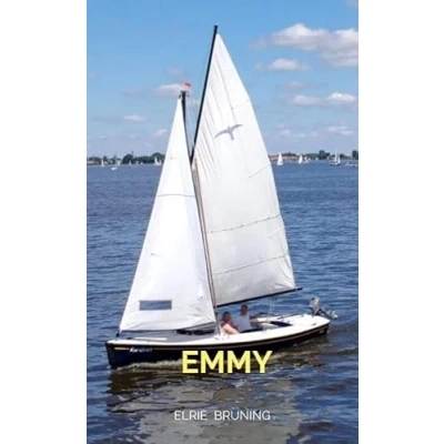 Afbeelding van Emmy