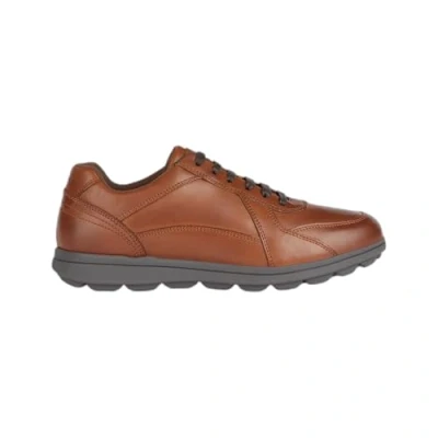 Afbeelding van Geox U Spherica Sneakers laag, Heren, Maat: 46, Cognac Leer