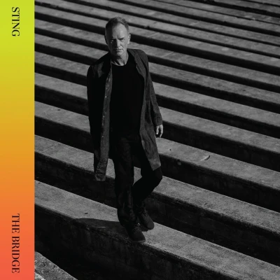Afbeelding van A&amp;m Sting The Bridge Cd